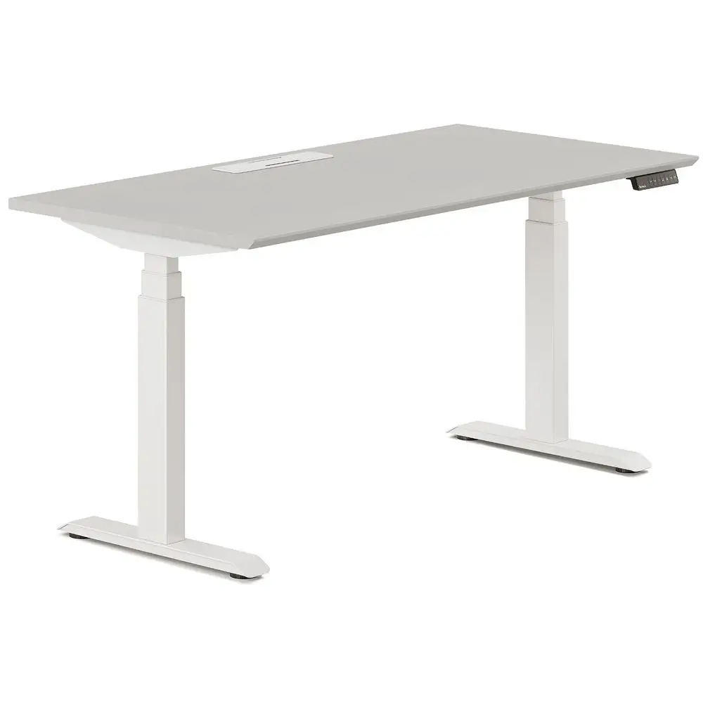 

Standing Desk 48 Inches Adjustable Height Desk with Dual Motors, ThreeStage Lift, Four Memory Presets White Base and Fog Top