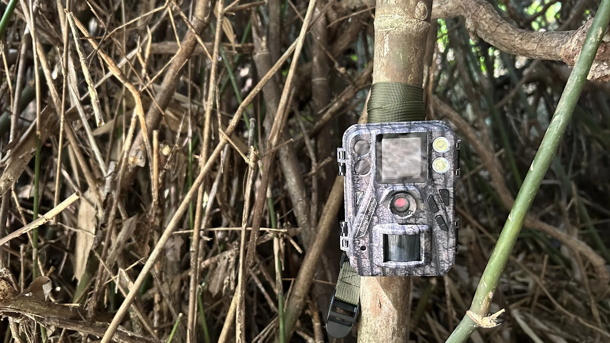 BolyGuard Hunting Game Camera Trail Cam 48MP/4K 30fps SG520-Plus Dual Flash ( 940nm Black IR&White LED) for Outdoor Wildlife