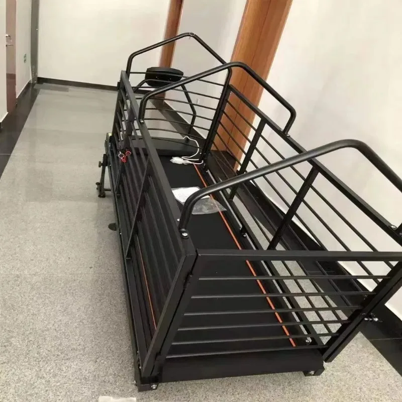 

Профессиональная электрическая беговая дорожка для собак из нержавеющей стали для тренировок грейхаундов, водонепроницаемая (IPx6), с регулируемой скоростью