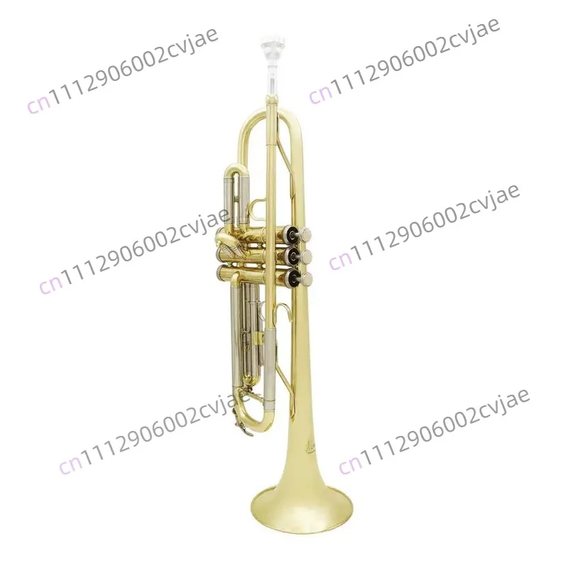 Two-tone trumpet in B-flat Beginner Adult Practice Playing Professional Band Playing Trumpet Wind Instruments