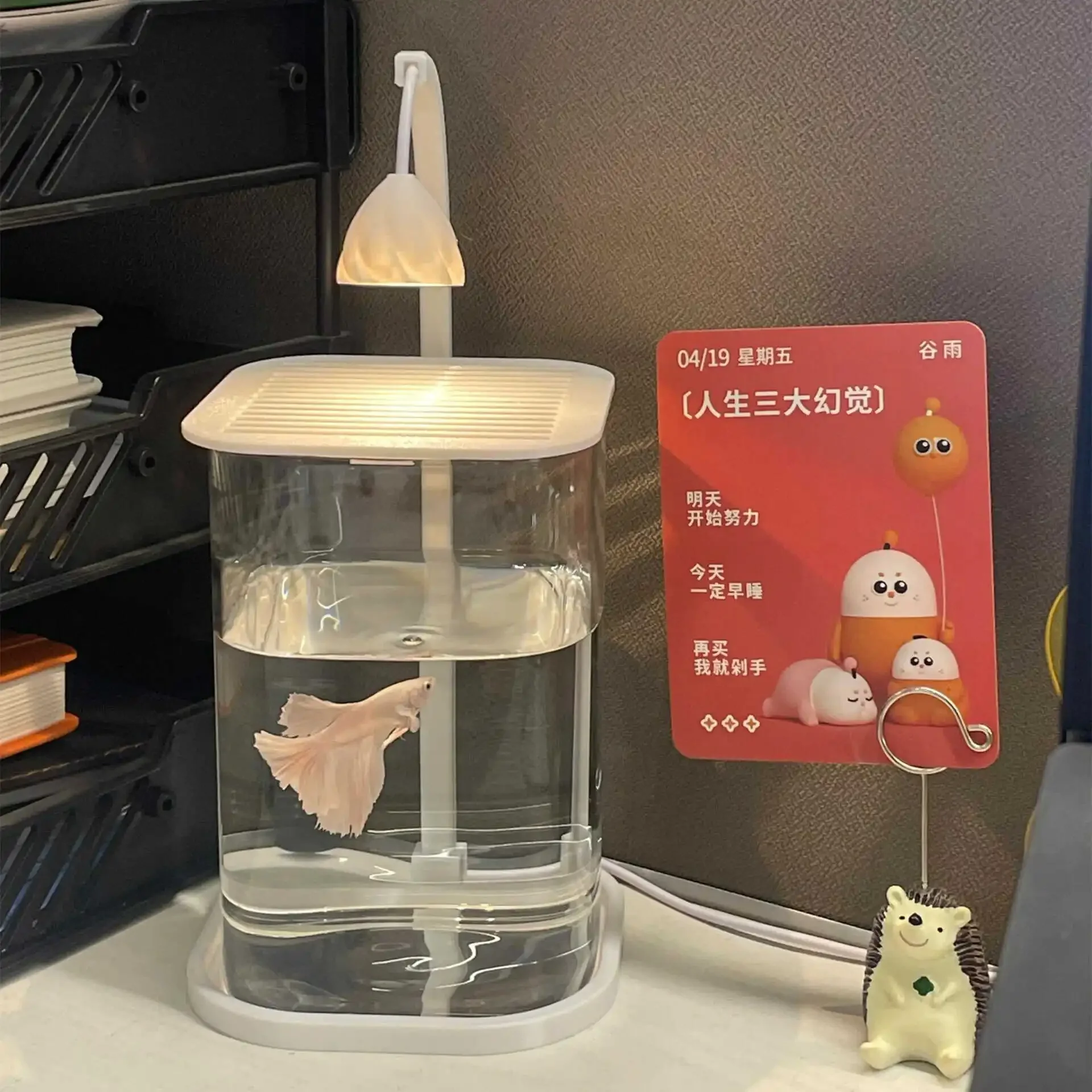 Spezielles Aquarium zur Bekämpfung von Fischen Neues Büro Desktop kleines Aquarium für den Hausgebrauch