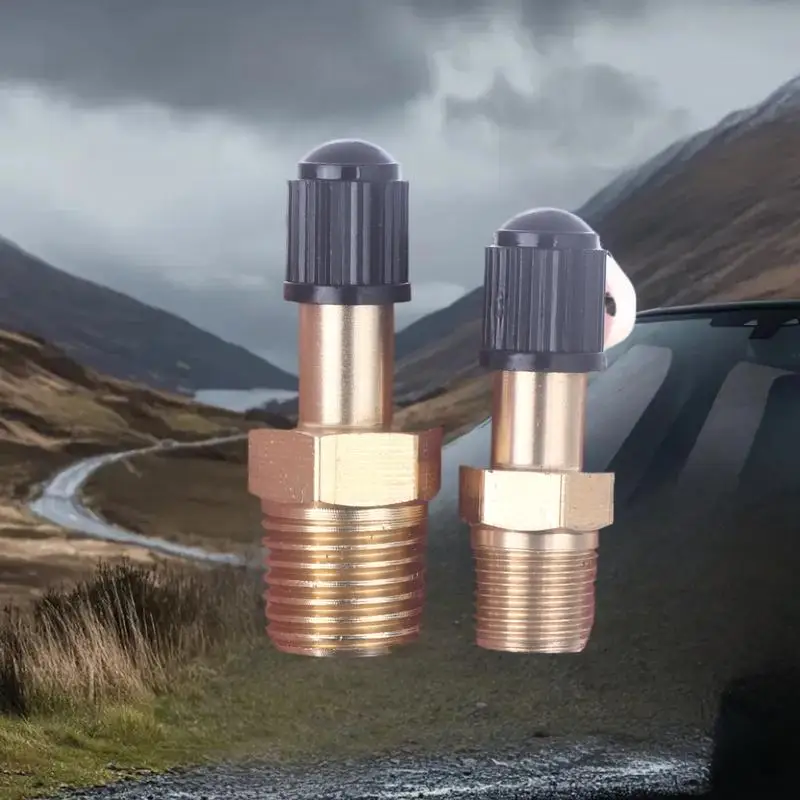 Stress-Resistant 1Pcs Schrader Valve 1/4 NPT 1/8 NPT M10: Ideal for Air Compressor Tanks & Auto Tires