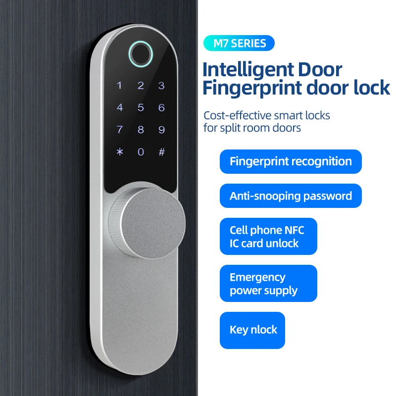 Fingerprint Password Security Door Lock Wholesale Factory Selling TTlock&TUYA Version Optional Round Handle