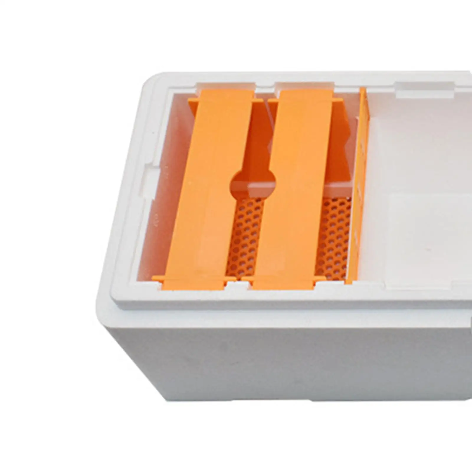 Foam Bee Rearing Cage Portable Multipurpose Beekeeping Tools for Beekeeping view 5