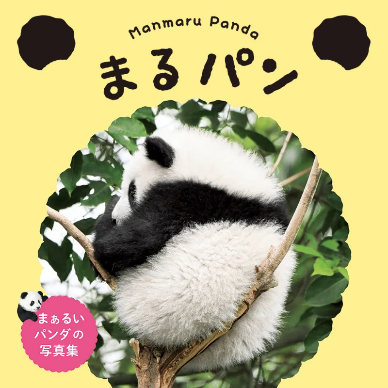 

Книга Panda Marupan Pai International Pai International 9784756250933