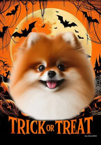 Pomeranian Red Trick or Treat Halloween Flag