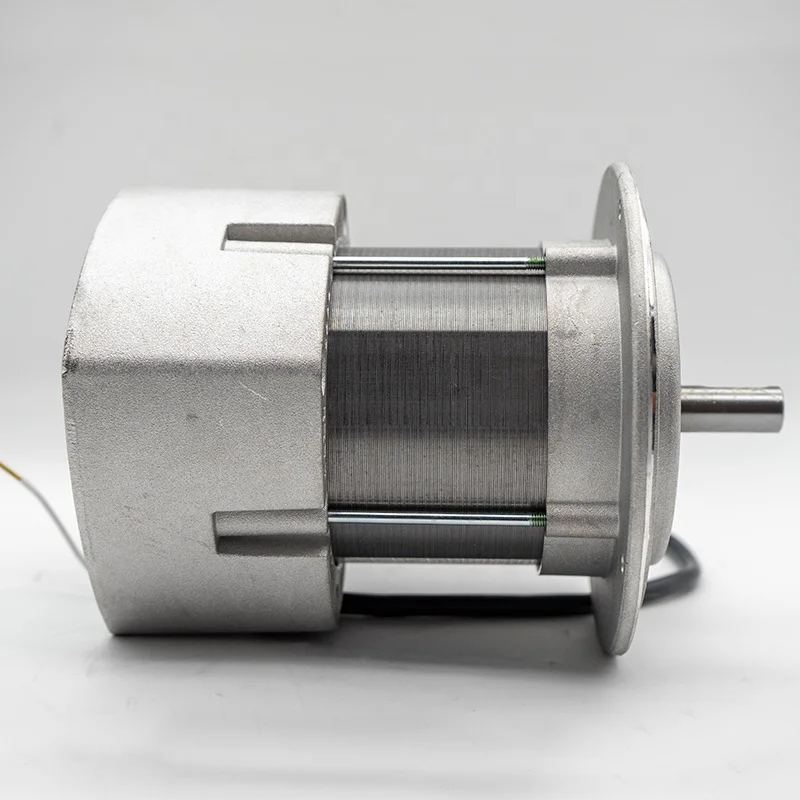 RS34 300W Motor Motor (3013490) Burner Special Supply from Chinese Factory