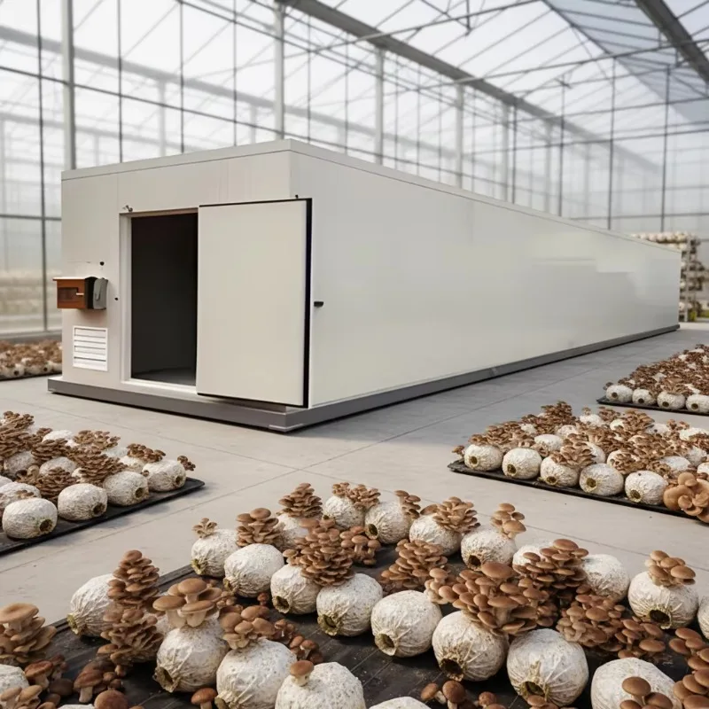 Large Scale Shipping Container Farm High Yield Mushroom Cultivation System for Commercial Production Custom