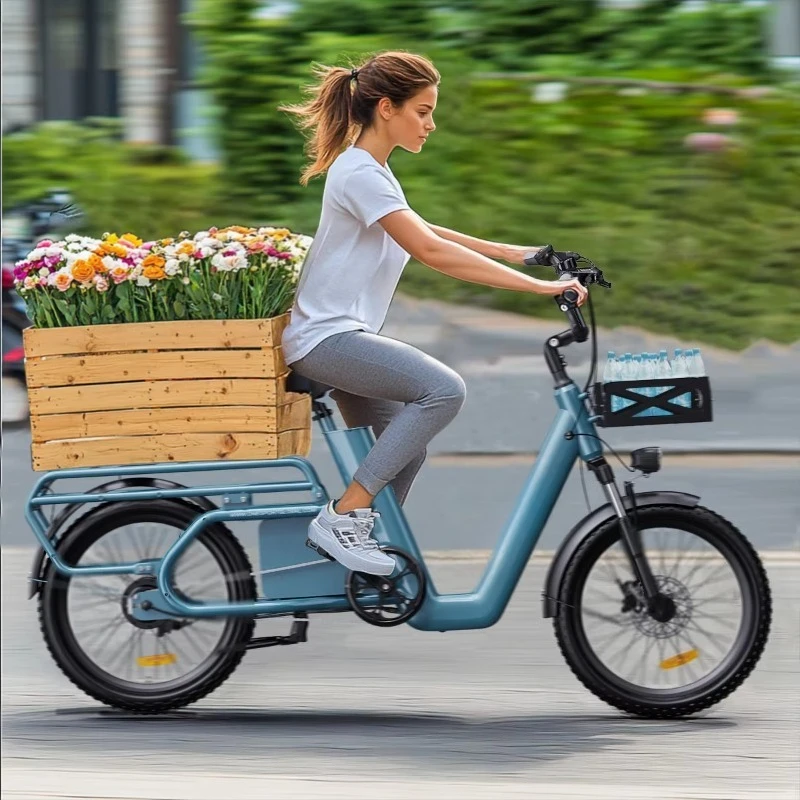 

City Ride Light Cargo, Bandwidth Rear Rack Electric Bike