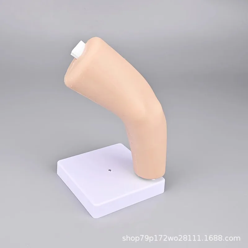 Elbow Joint Simulation Training Model, Arthroscopic Simulation Trainer