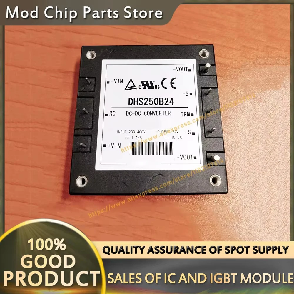 DHS250B24 DHS250B12 NEW MODULE