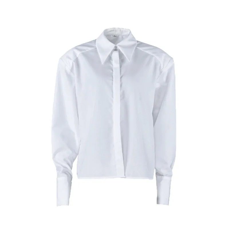 

2026 Spring Long Sleeve Shirt Women's Commuter Women's Top