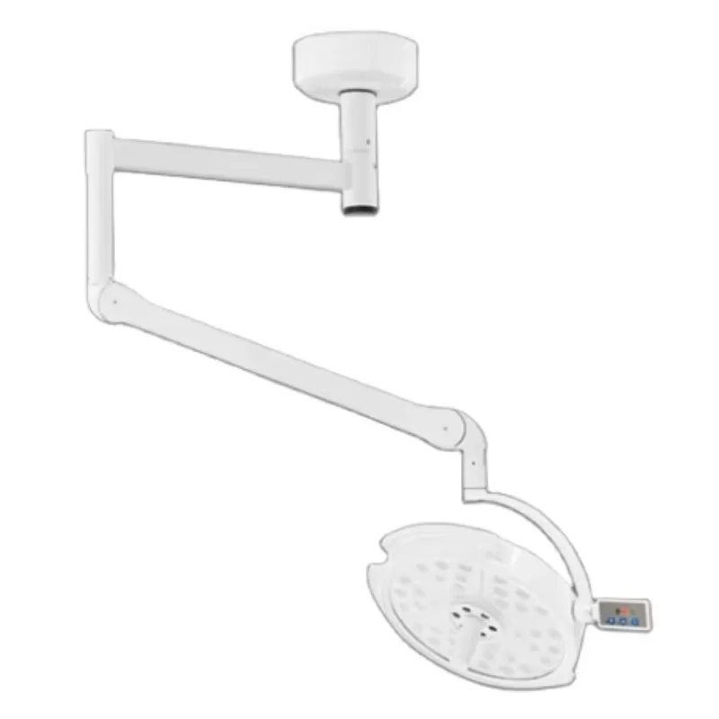 Vet Medical Shadowless Operating Room Lamp Wall Mounted Ceiling Veterinary Surgical OT Lamp Operating Light Examination Light