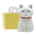 white cat