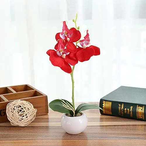 Phalaenopsis with Glass Vase Decorative  Flower Arrangement Artificial Flowers in Vase Phalaenopsis Simulated Plant  Indoor  Orc