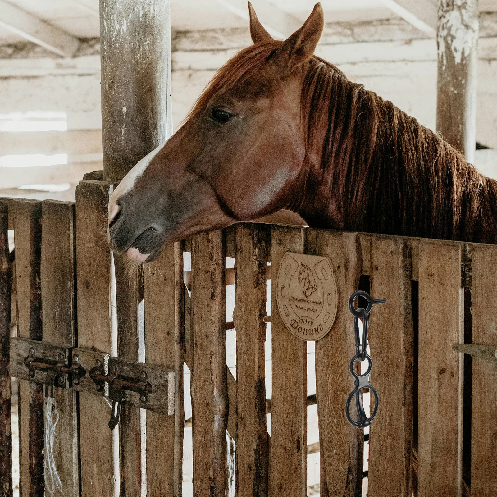 Кольцо для крепления лошади из нержавеющей стали
