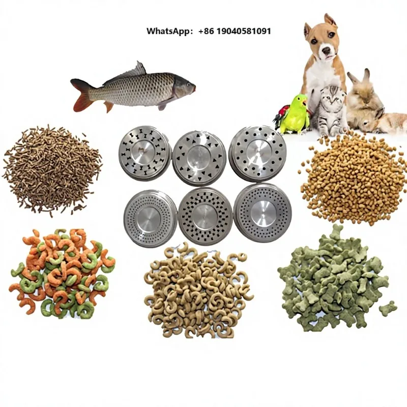 New Mini Floating Fish Feed Mold of Extruder Machine Sus304 100kg/h Capacity High Productivity Output Various Shapes