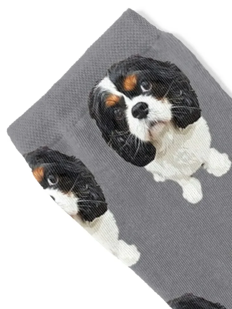 Cavalier King Charles Spaniel Tri Socks shoes Toe sports Stockings compression Antiskid soccer Male Socks Women's