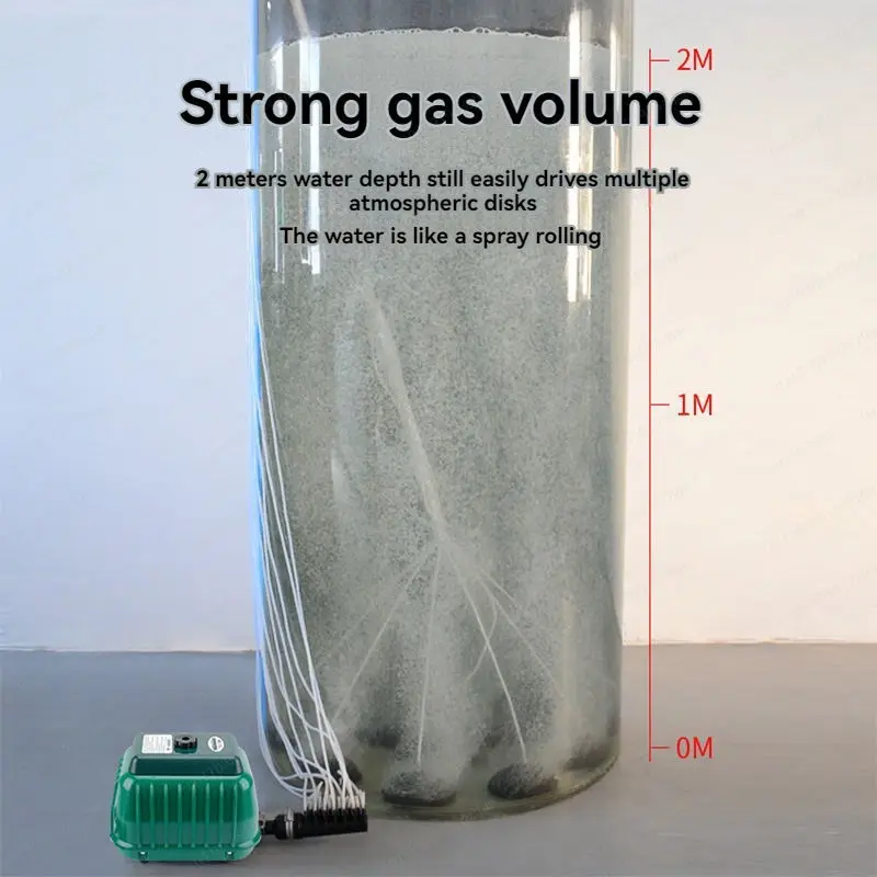 LP20 LP40 LP60 LP10…