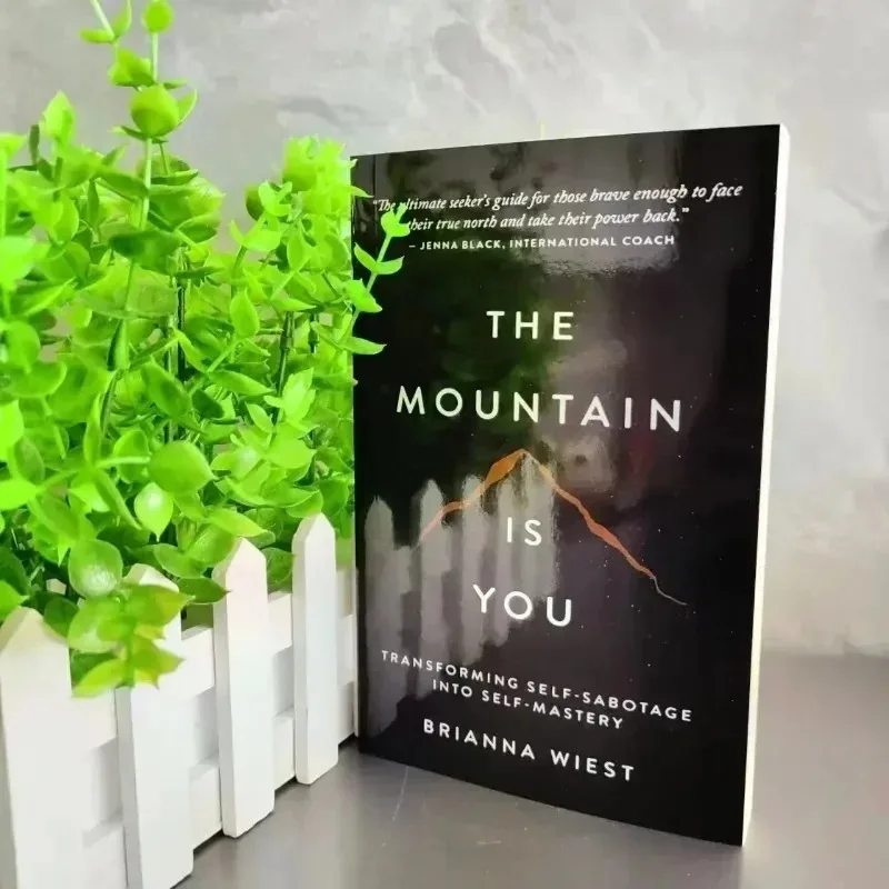 The Mountain Is You: Transforming Self-Sabotage Into Self-mastery English Books Birthday Gifts Livros Em Português