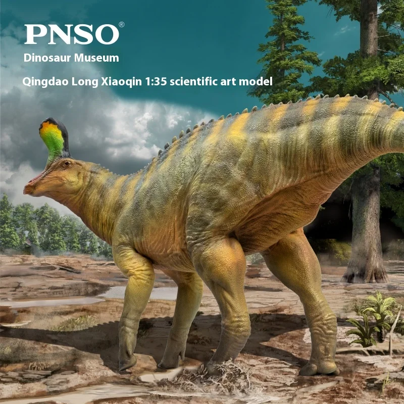 

Qingdao Dragon Little Harpist Dinosaur Museum 1:35 Science Art Model Dinosaur Collection Birthday Gift Action Figure Toy