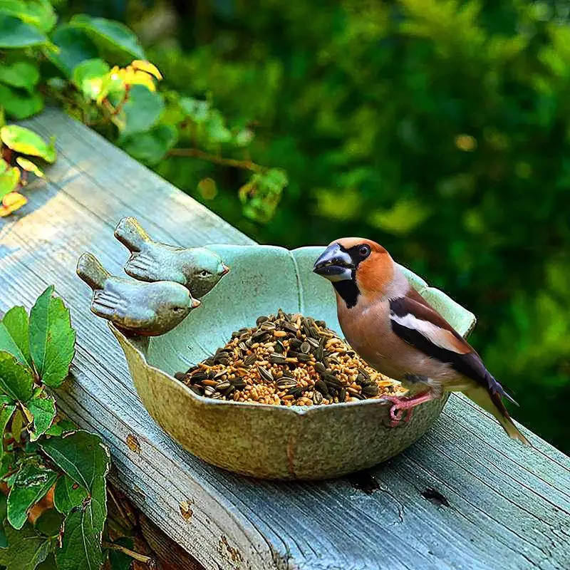 2021 NEW Bird Feeder Yard Ceramic Birth Baths Garden Decor Birth Feeder Ceramic Aquarium Retro Finish Bird Feeder Tray