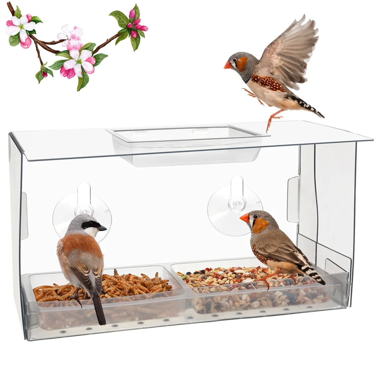 Window Bird Feeder. Birds Feed Undisturbed Whilst You Watch. Innovative Window Bird Feeders with Strong Suction Cups