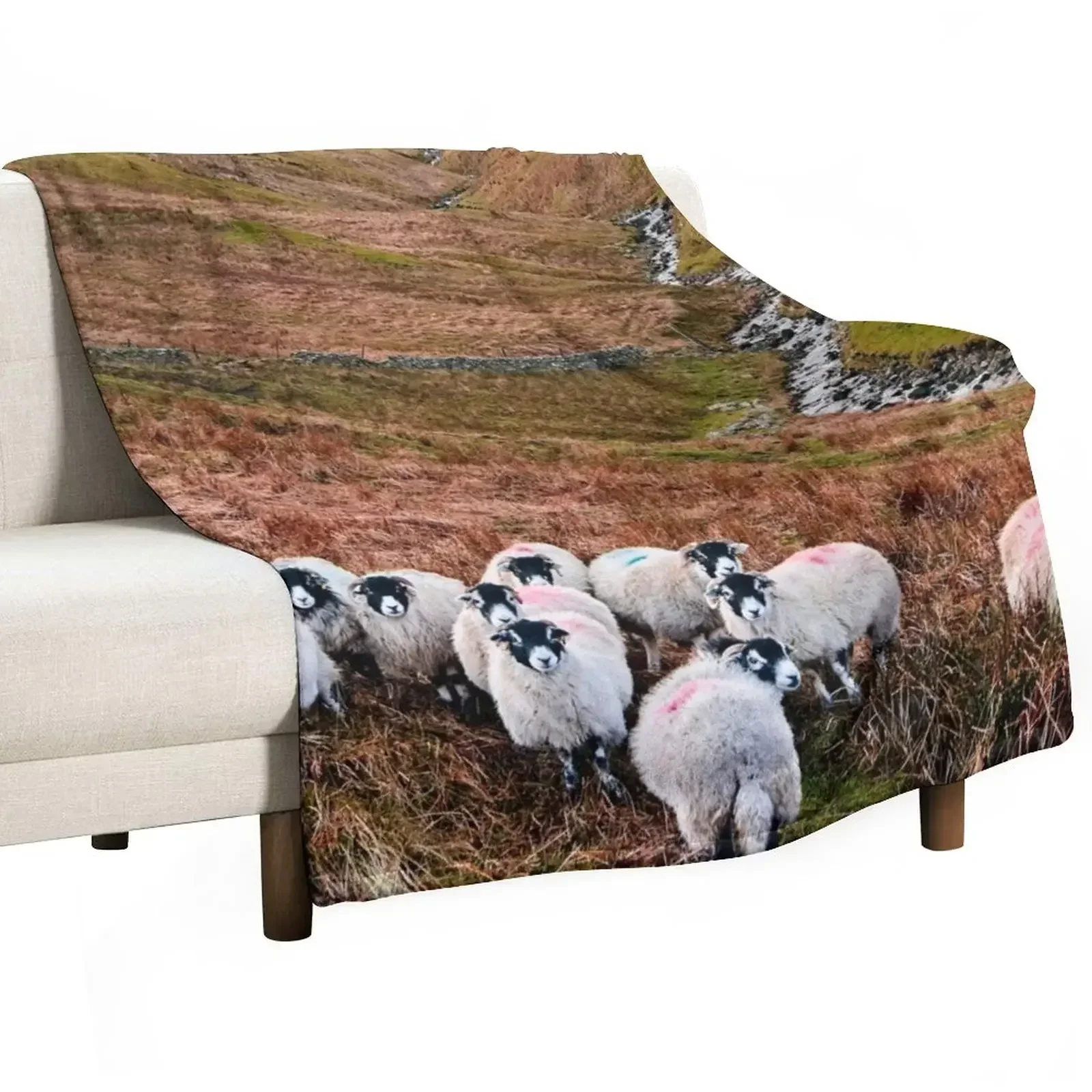 Swaledale Sheep in Weardale Throw Blanket for babies Decoratives sofa bed Vintage Blankets