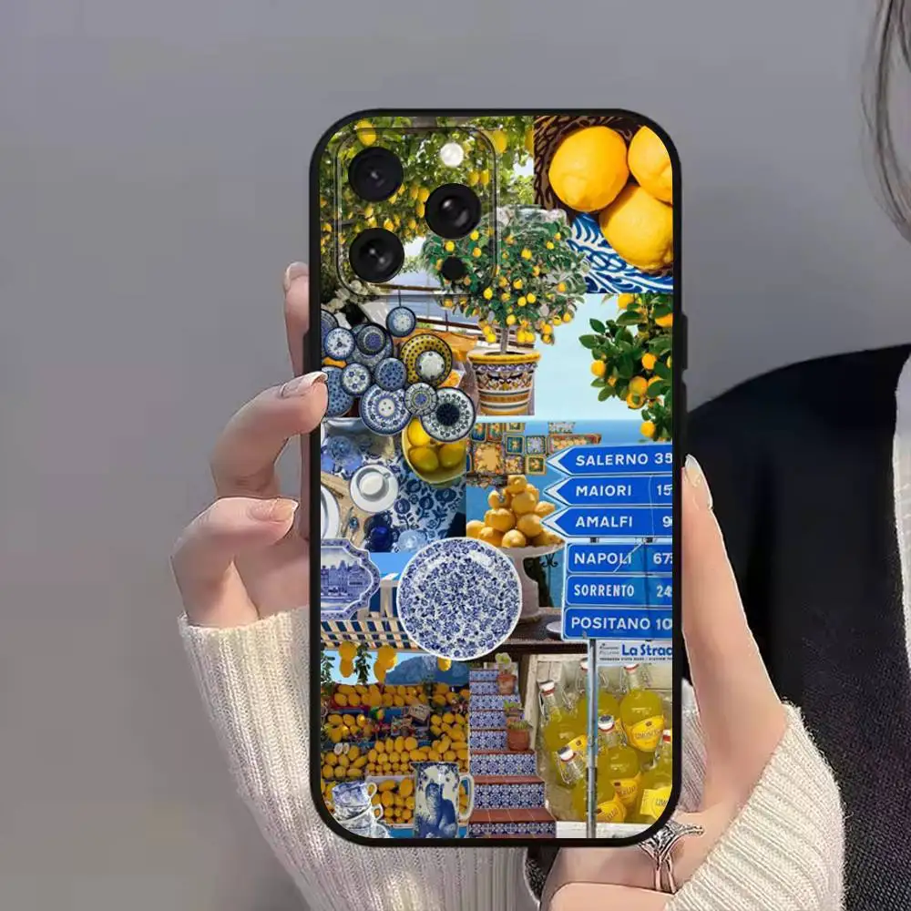 C-CoastS European Amalfi-es für iPhone 11,15,16,14,13,17,12,Pro,SE4,Plus,E,Max,Air,Mini Schwarz, stoßfeste Softcover-Handyhülle