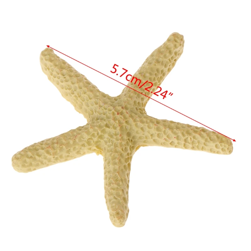 พิพิธภัณฑ์สัตว์น้ำ 5 ชิ้นปลาดาวประดิษฐ์ Polyresin Seastars จำลองเครื่องประดับ