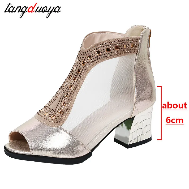 Vrouwen Mesh Latin Dans Schoenen Voor Dansende Balzaal Moderne Tango Salsa Dames Hoge Hakken Dansschoenen Dames Laarzen