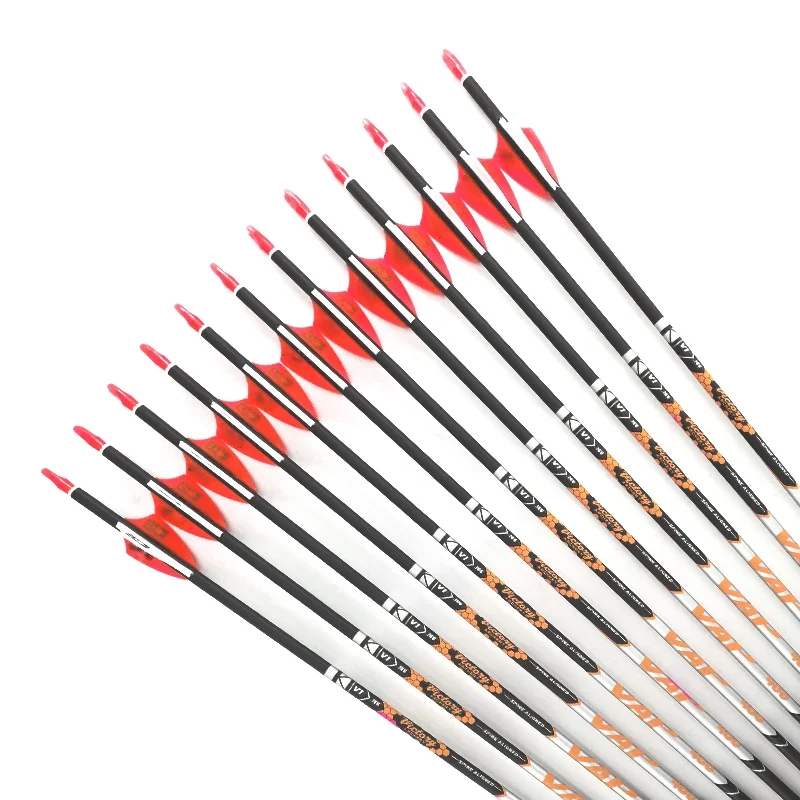 

12pcs V1 Spine 350-1000 Archery Carbon Arrows 30.5'' Pin Nock Points Recurve Bow Longbow Shooting