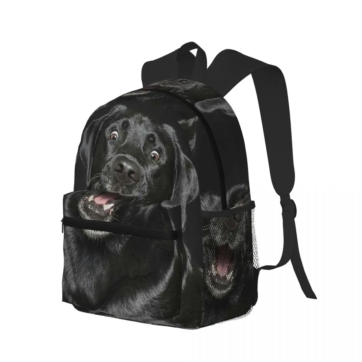 Black Labrador Dog Print Student Backpack School Bag Hiking Travel Daypack for Boys Girls Bookbag Shoulder Bags