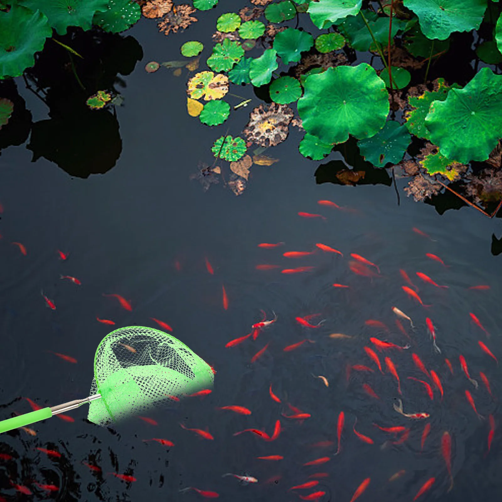 

1 комплект, телескопическая рыболовная сеть и набор ведер, выдвижная уличная раковина из нержавеющей стали для детей, наука ловли насекомых