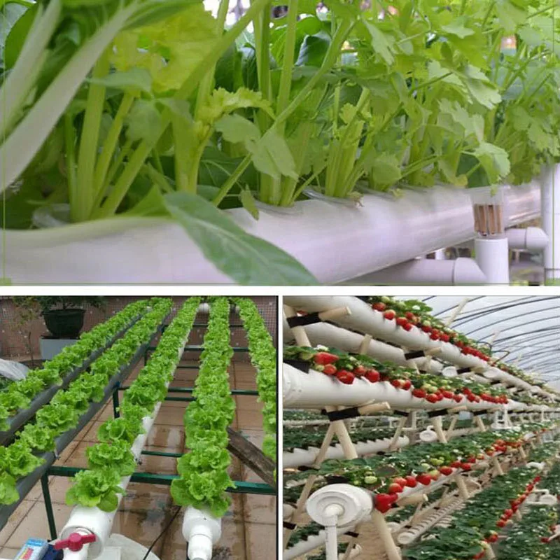 20/50pcs Soiless Hydroponic Gardening Tools Planted Sponge Vegetable Cultivation System Cloning Collar Garden Cultivation Plant