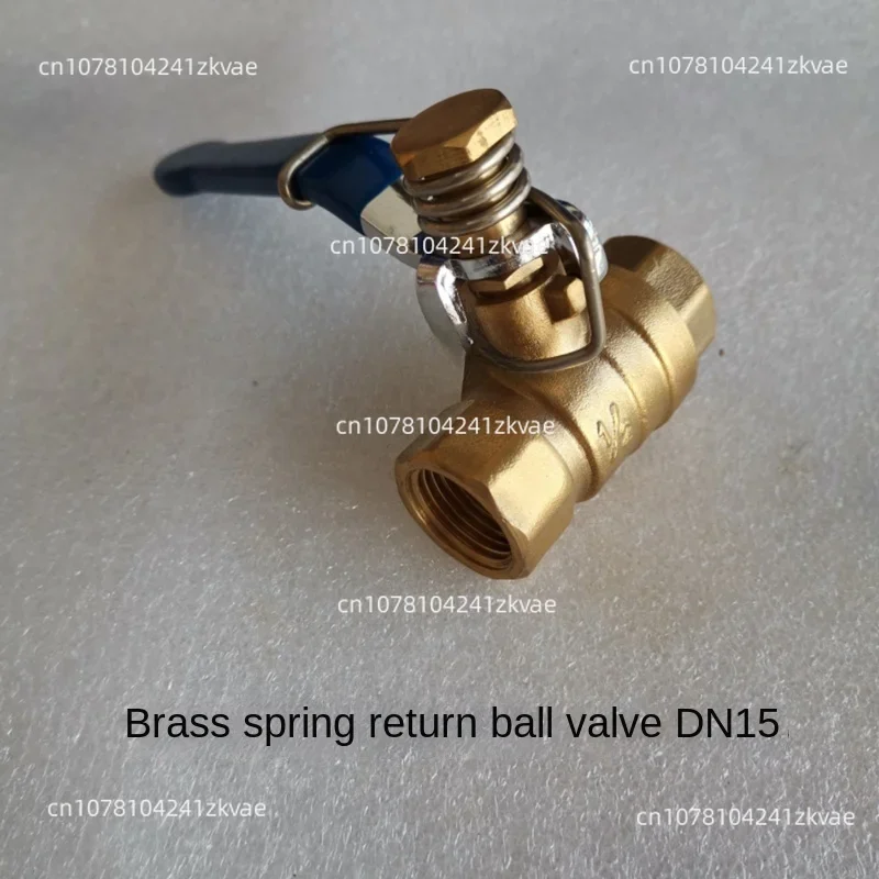 

High quality Ball valve brass Stainless steel Small Spring automatic return ball valve DN25 Female thread 1 inch BSP 2 way valve