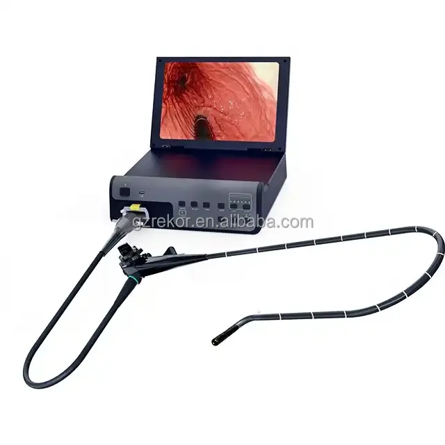 High resolution flexible video veterinary gastroscope endoscope camera for cat dog cattle sheep