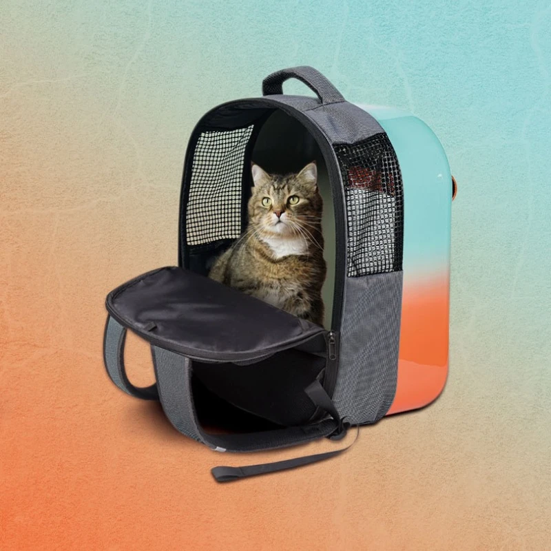 Ventilation Large Capacity Cat Carrier Backpack Adjustable Strap Pet Carrying Bag Foldable Cat Backpack for Outdoor Travel