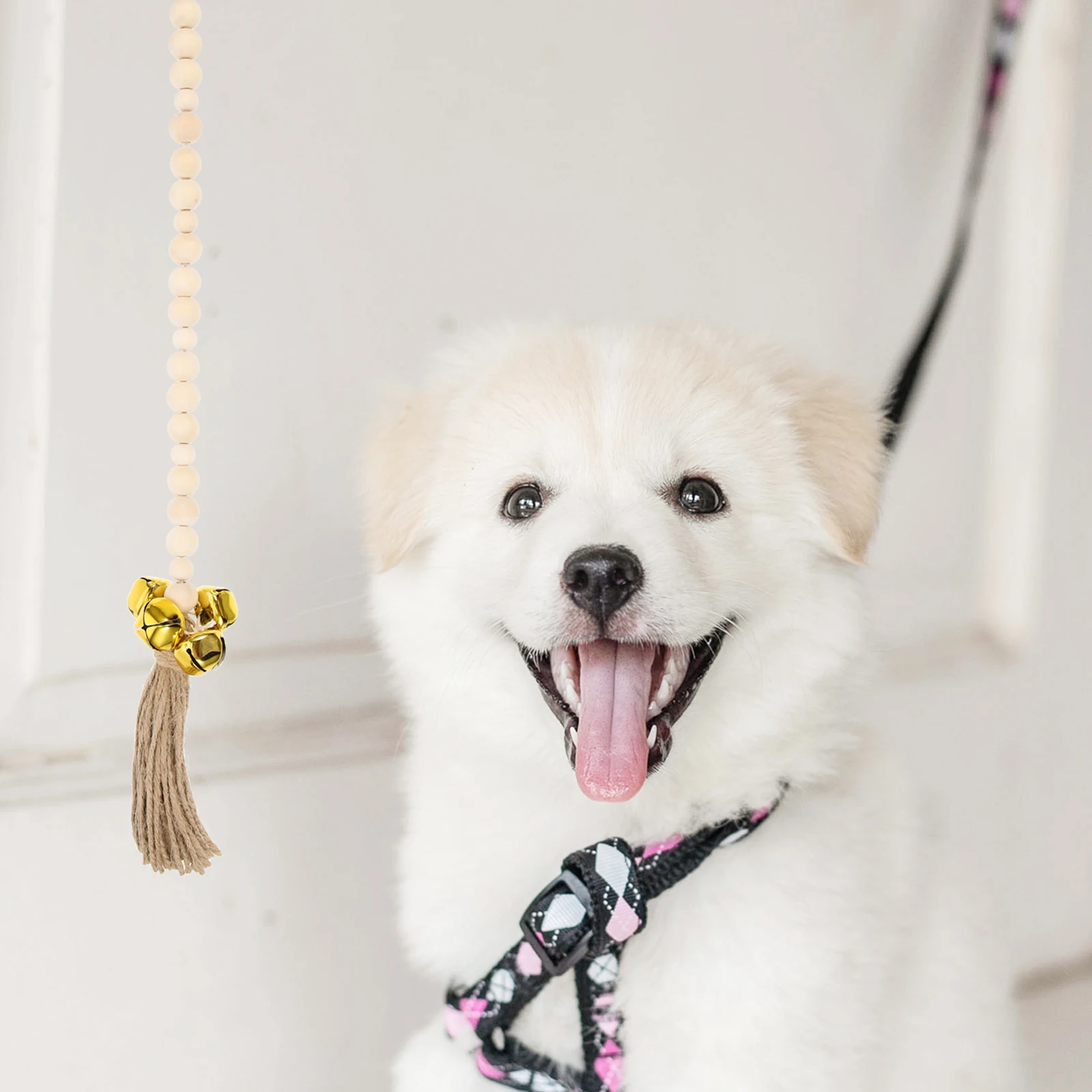 

Creative Bell Potty Go Outside Durable Doorbell Decoration Pet Accessory Fresh Design Easy Install Dog Bells For Dogs