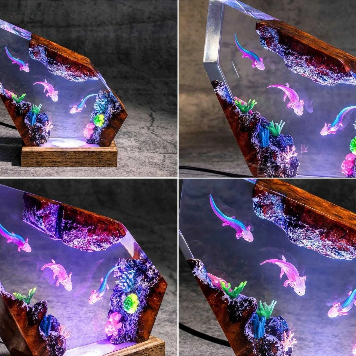 

Creative Ocean Series Blunt-Toothed Salamander Salamander Resin Lamp Home Decorative Tableware Artwork Display Piece Gift