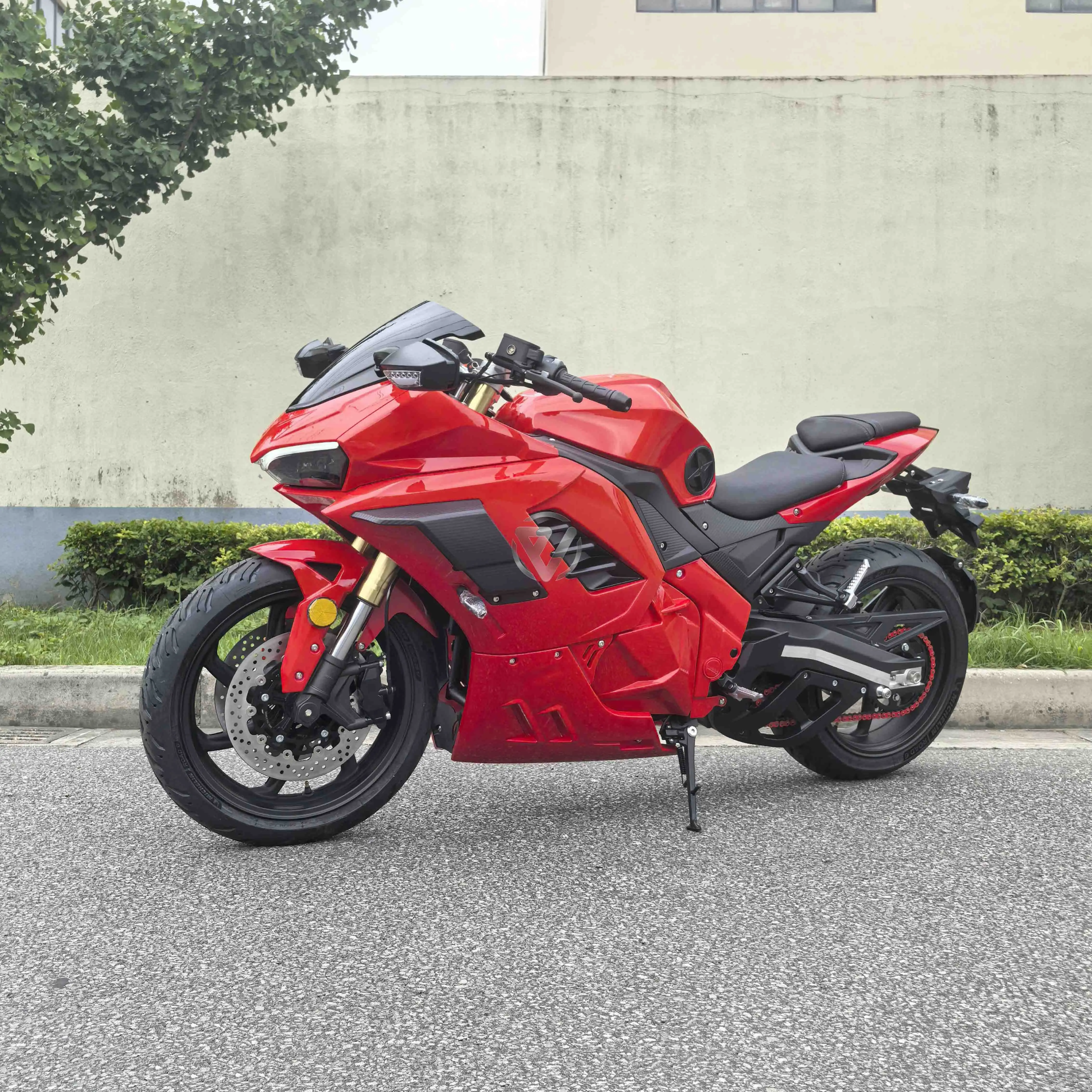 Ducati Panigale Style 15KW Electric Motorcycle 96V120Ah Battery 170km/h Street Racing E-bike with Intelligent Dashboard