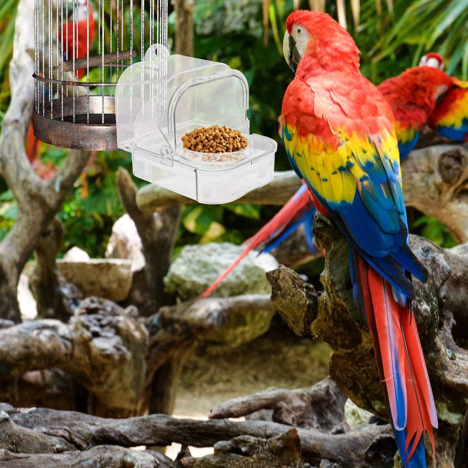 

Large Capacity Parrot Feeder Spill Proof Design Automatic Clear Bird Water Bowl Cage Mounted Food Dispenser Parrots Water Holder