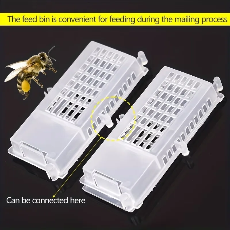 Transparent Queen Bee Cages For Beekeeping, Queen Bee Transport Cages, Beekeeping Insect Hives, And Breeding Cages
