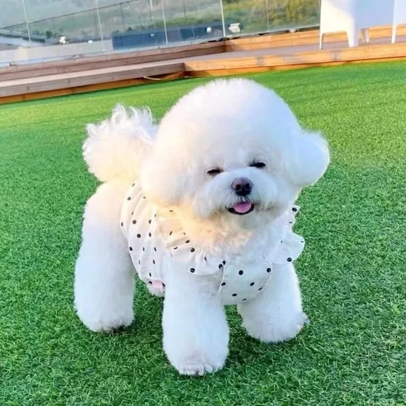 

Summer Cute Pet Clothes Cute Wind Dot Dress Bichon Frise Puppy Skirt Teddy Pullover Pretty Dog Clothes Pet Supplies NO Bag