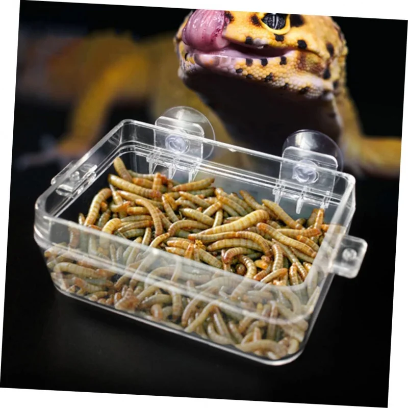 

Гусеничный анти-втез, резервуар для воды, ползающий домашнее животное, ящерица, охлаждающий дворцовую гриву, лев, хлеб, червь, миска для кормления