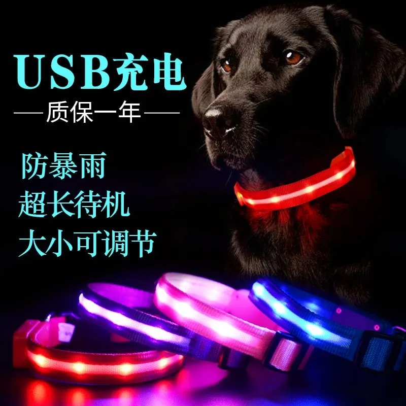 CHUKCHI Dog Neck Ring Luminous Collar Walking Dog Traction Rope Pet Glow USB Charging Golden Hair Teddy Supplies