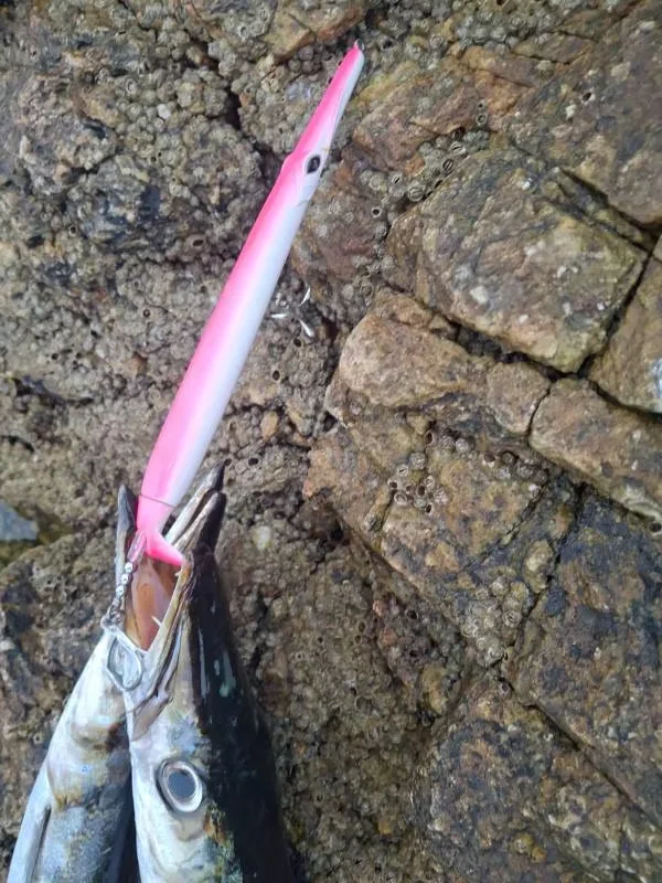 Hunthouse Propeller Needle Lure 225mm/40g Schwimmender Pencil-Köder Oberflächenköder Aguglia Turbo für Blaufisch und Seebarsch – Detail 6