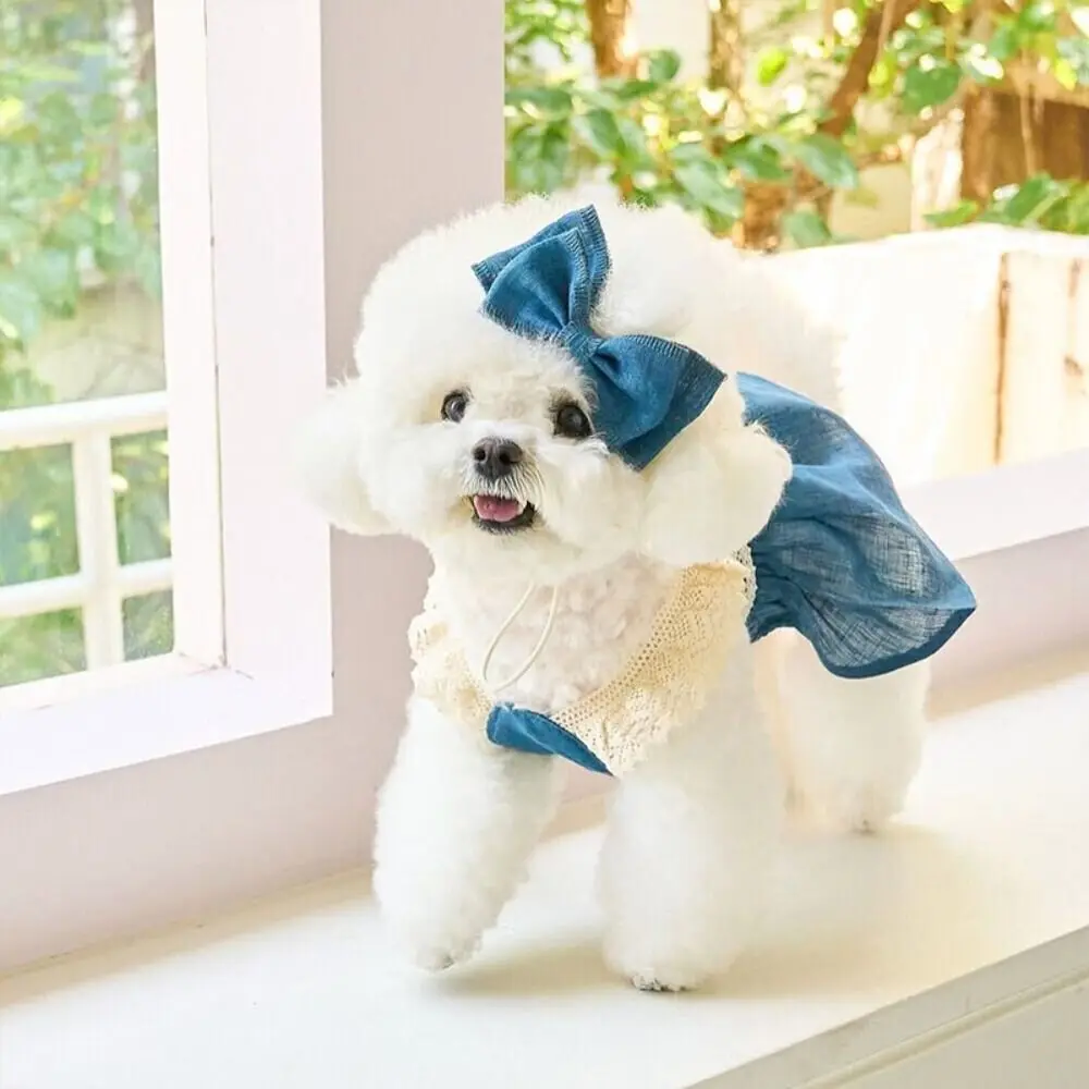 

Fashion Lace Pet Lace Denim Dress Breathable Thin Pet Clothes Comfortable Soft Puppy