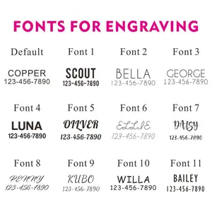 Personalized Dog Collar with free engraving id, nameplate tag, fiber puppy leash, pet accessory, free recording 10 Main Sales Active Fiber Identifier - №9