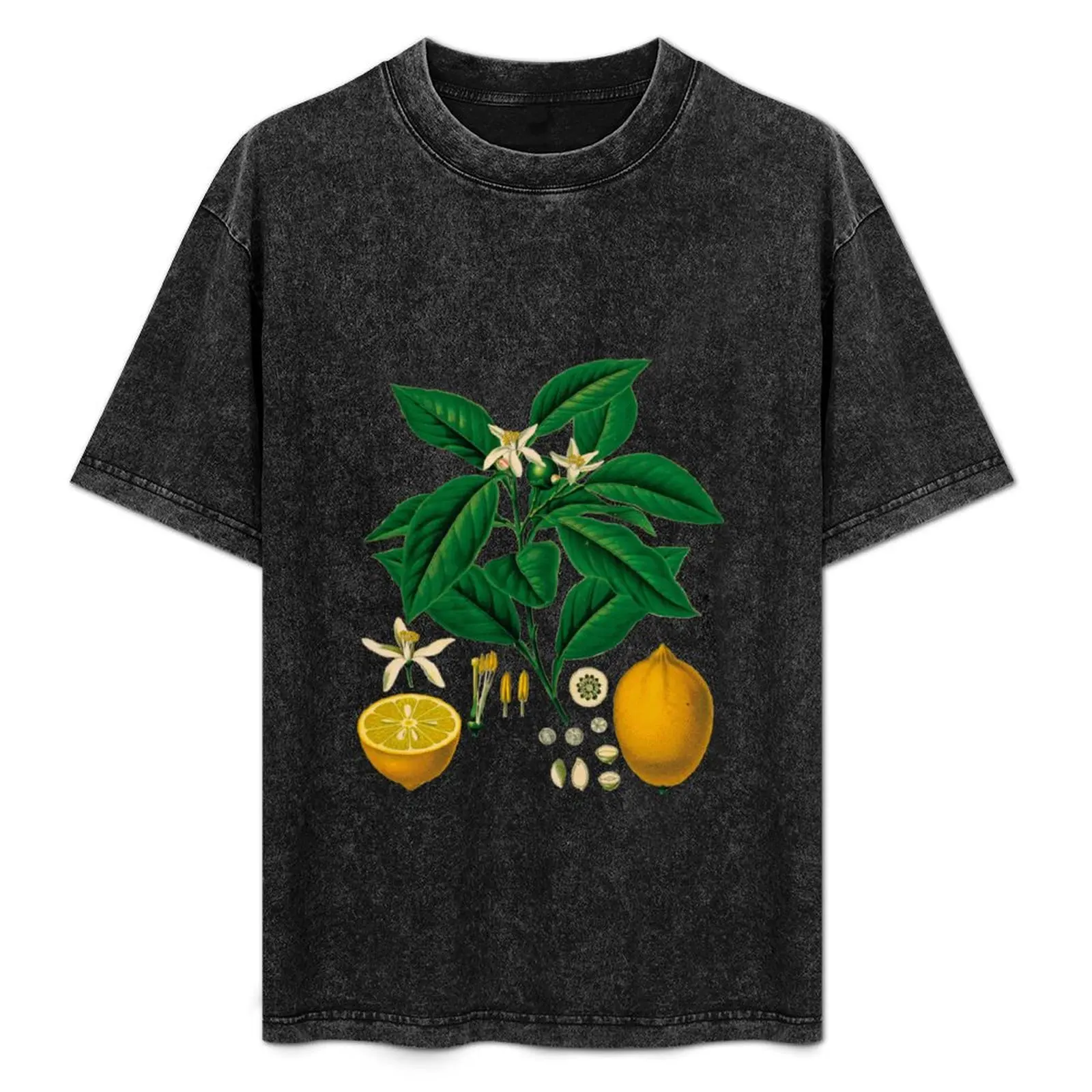 

FF - Vintage - Lemons T-Shirt Large Size Loose Casual Tee